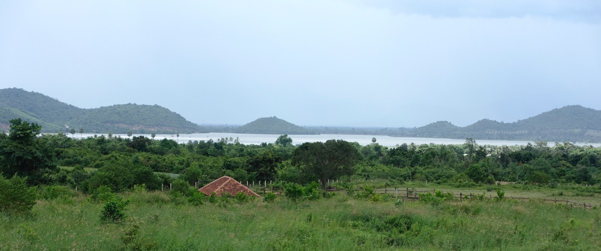 Wo der Pfeffer&nbsp;wächst